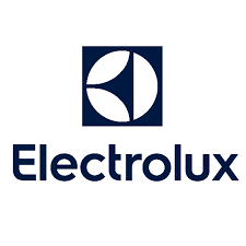 Pronto Intervento Riparazione Elettrodomestici Rex Electrolux Fuori Garanzia 